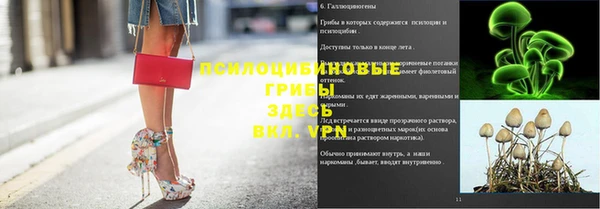 гашик Нея