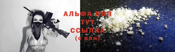 гашик Нея