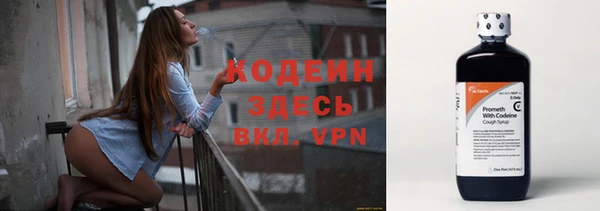 гашик Нея