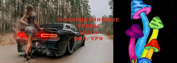 СК Нефтекумск