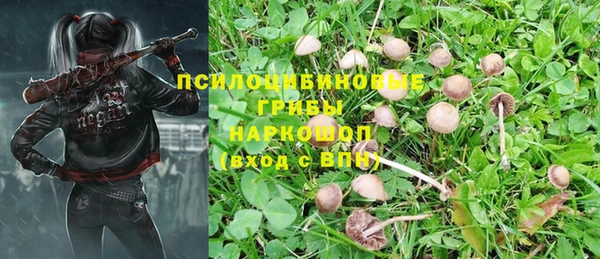 СК Нефтекумск